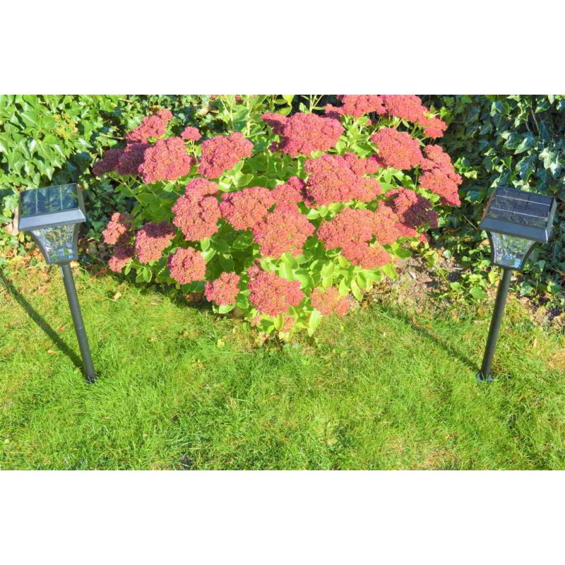 Flot solcellelampe