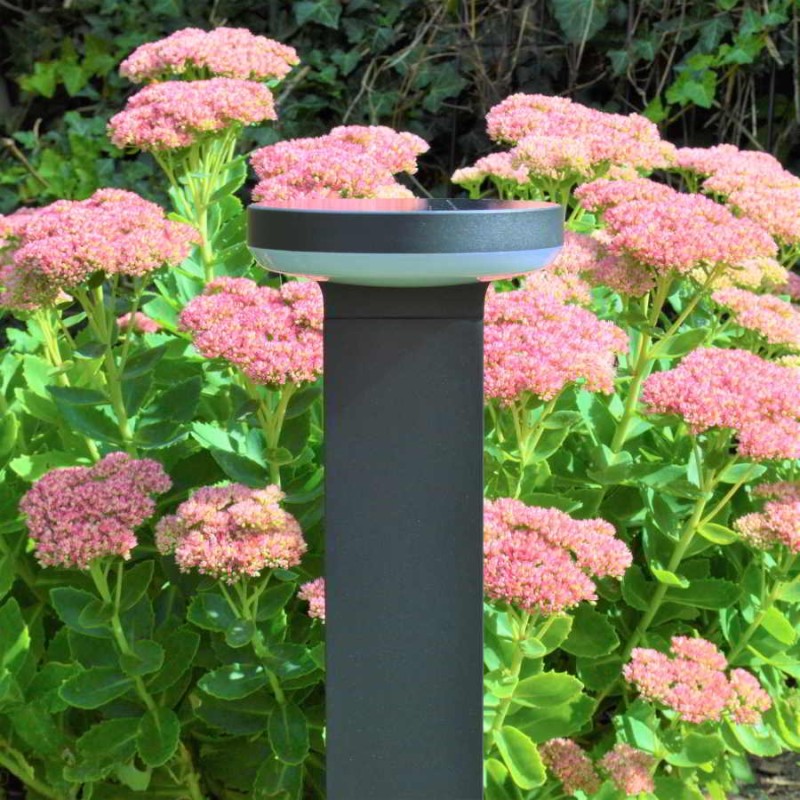 york solcelle lampe