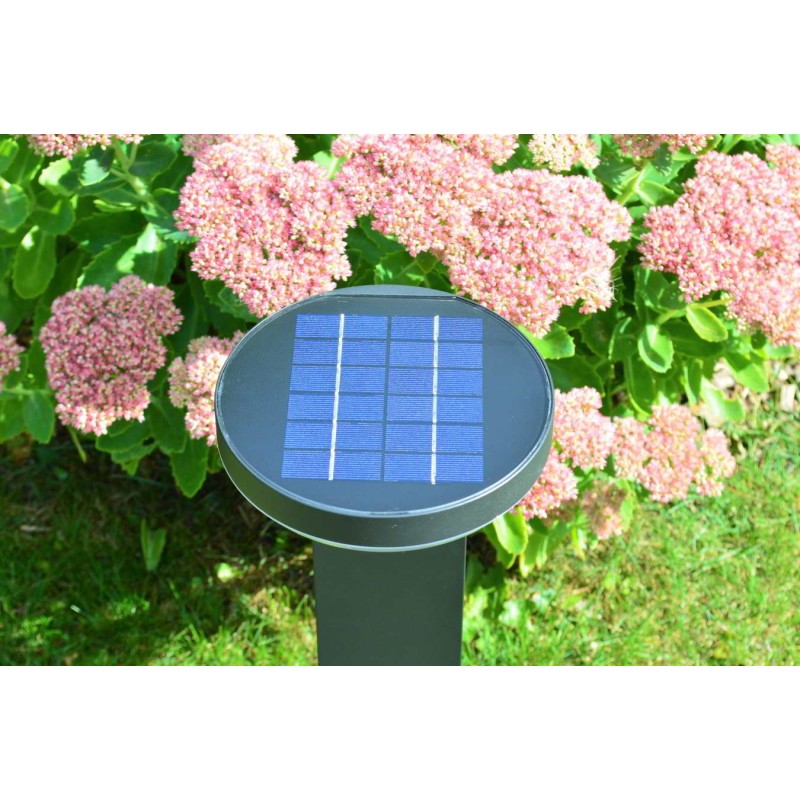 york solcelle lampe