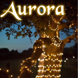 Aurora PRO solcelle lyskæde
