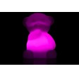 formlampe solcelle bjørn