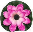 Flydende solcellespringvand 'Blomstrende Åkande'