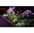 Selene solcellelampe - spotlights