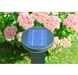 york solcelle lampe