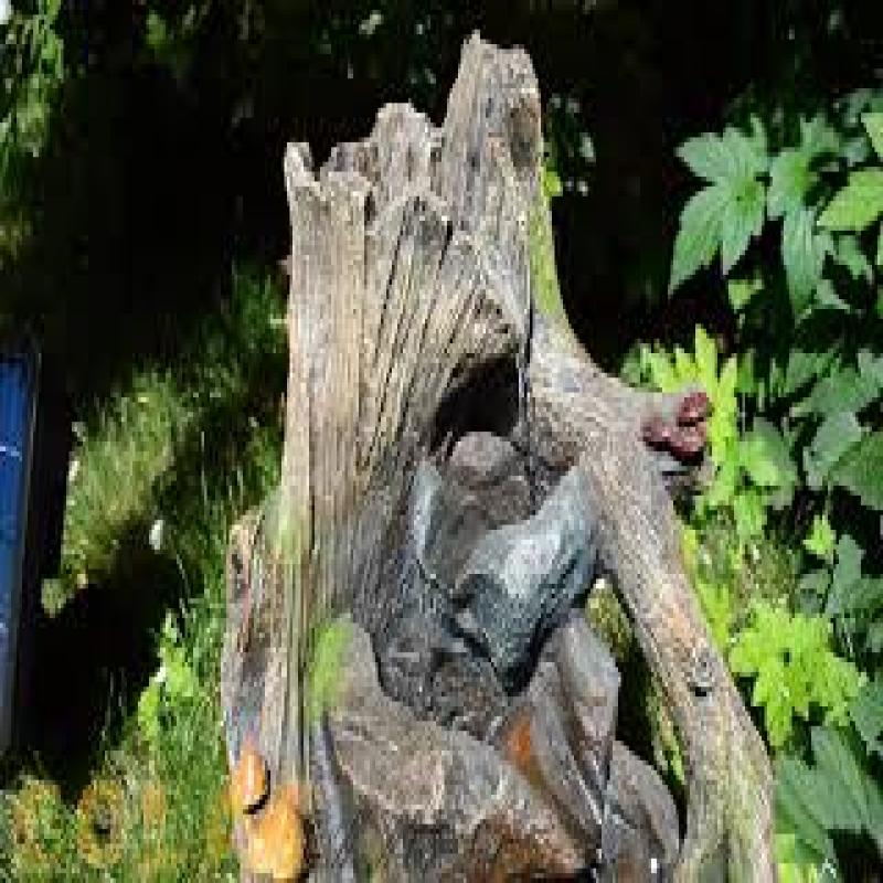 0__=__youtube___Solarbrunnen ___https://www.youtube.com/watch?v=ZwH2Wbg6IqU___ZwH2Wbg6IqU