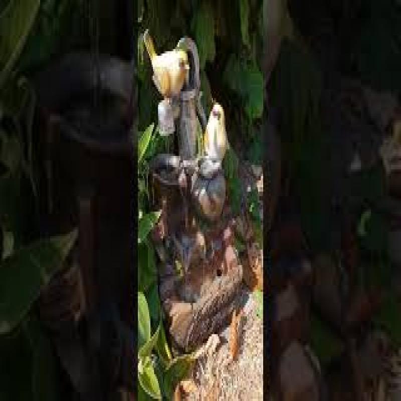 0__=__youtube___Solarbrunnen ___https://www.youtube.com/watch?v=QPPm0q98PfA&feature=youtu.be___QPPm0q98PfA&feature=youtu.be