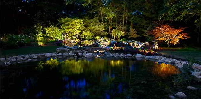 Spotlights